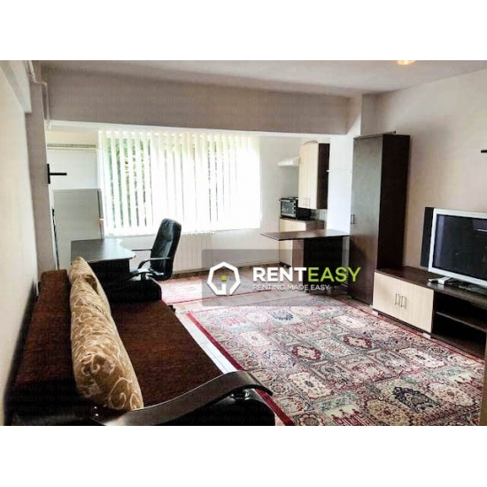 De inchiriat ! Apartament cu o camera situat in zona Copou