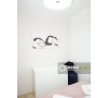 De inchiriat! Apartament 2 camere in Podu de Fier, bloc nou.