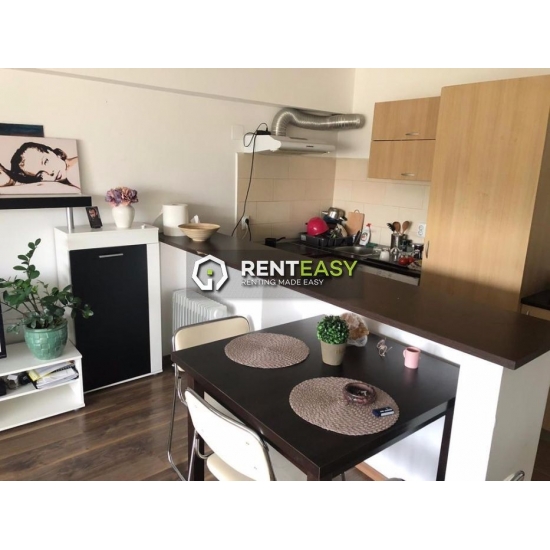 De inchiriat ! Apartament cu o camera in bloc nou situat in Podul de Fier