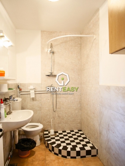 Casa 5 camere de inchiriat Copou - Sararie