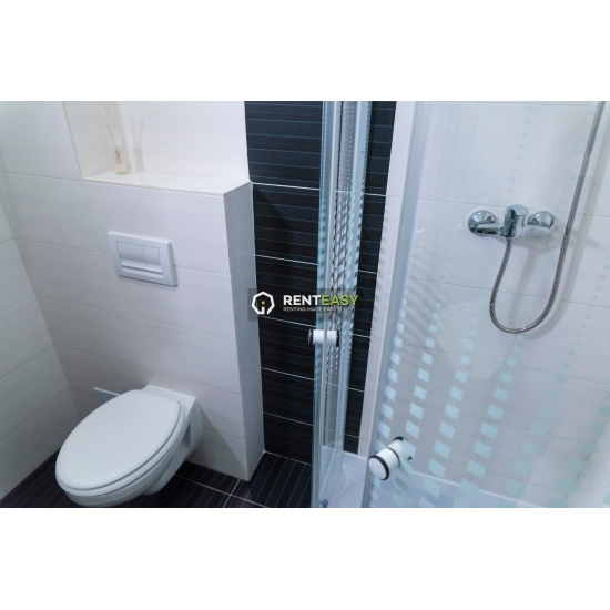 De inchiriat ! Apartament cu doua camere in bloc nou situat in zona Palas - Lazar Apartments