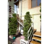 Apartament o camera Stefan cel Mare