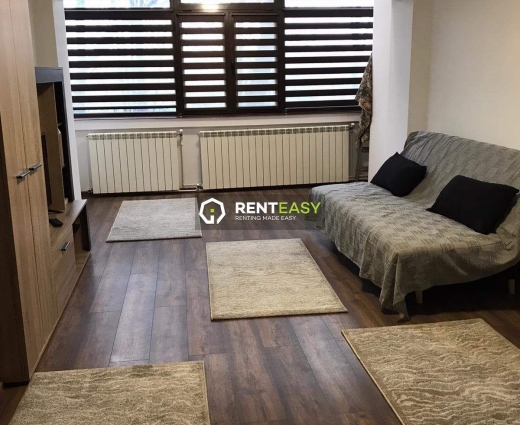 Apartament cu 2 camere de inchiriat in zona Tatarasi, complet mobilat si utilat, centrala termica si aer conditionat - 330 Euro