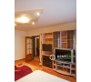 Apartament cu 1 camera de inchiriat in Tatarasi - Oancea