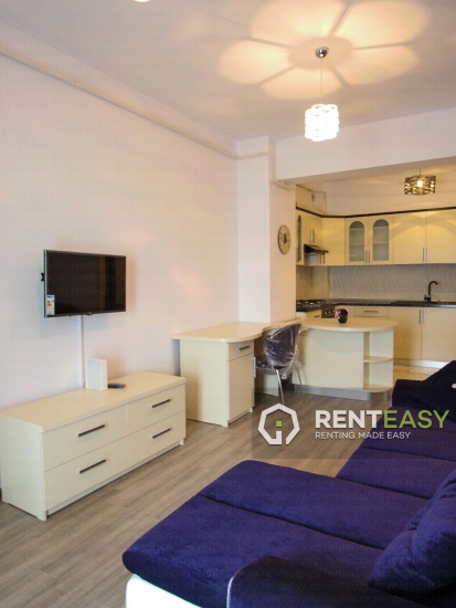 Apartament 1 Camera de Inchiriat Centru - Lazar Residence