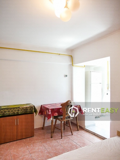 Apartament cu 1 Camera de Inchiriat - Anastasie Panu langa Hotel Europa