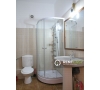 Vila cu 4 Camere de Inchiriat in Pacurari