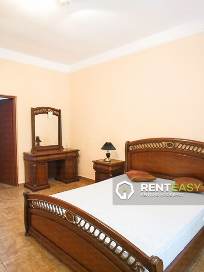 Vila cu 4 Camere de Inchiriat in Pacurari