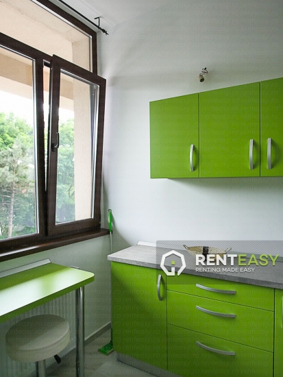 Apartament 1 Camera de Inchiriat in Tatarasi - Vasile Lupu