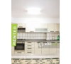 Apartament cu 3 Camere de Inchiriat in Pacurari - Moara de Foc