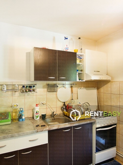 Apartament cu 1 Camera de Inchiriat in Arcu - Stradela Florilor