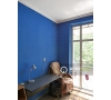 Apartament 2 Camere de Inchiriat in Copou - Negruzzi