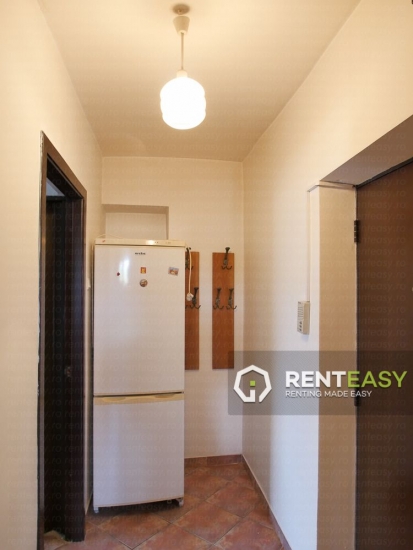 Apartament 1 Camera in Pacurari de Inchiriat