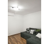 Apartament 1 Camera Anastasie Panu - Hala Centrala pentru Inchiriat