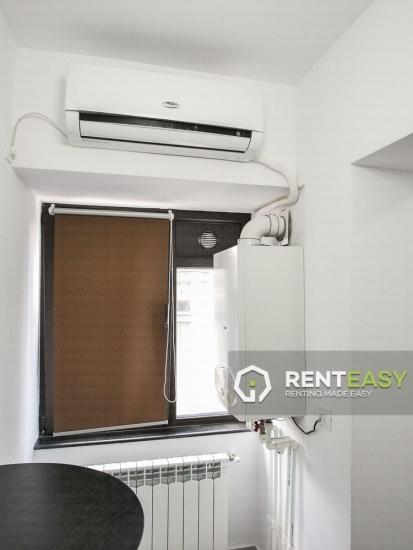 Apartament 1 Camera Anastasie Panu - Hala Centrala pentru Inchiriat