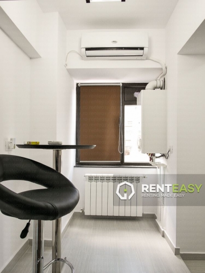 Apartament 1 Camera Anastasie Panu - Hala Centrala pentru Inchiriat