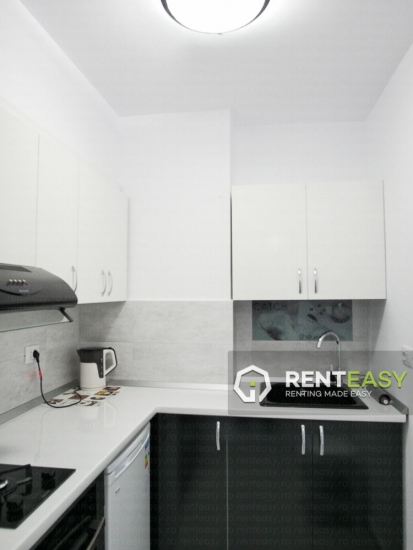 Apartament 1 Camera Anastasie Panu - Hala Centrala pentru Inchiriat
