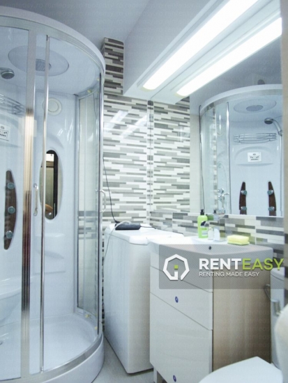 Apartament 1 Camera Anastasie Panu - Hala Centrala pentru Inchiriat