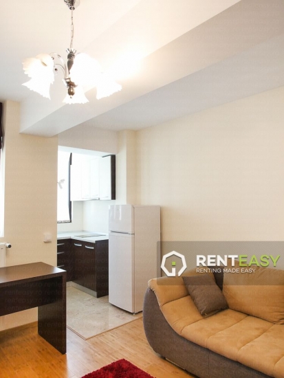 Apartament 1 Camera de Inchiriat in Copou