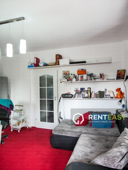 Apartament cu 2 Camere de Inchiriat in Copou - Negruzzi