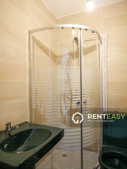 Apartament 1 Camera de Inchiriat in Podul de Fier