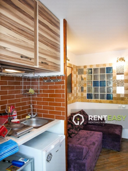 Apartament 1 Camera in Piata Unirii de Inchiriat