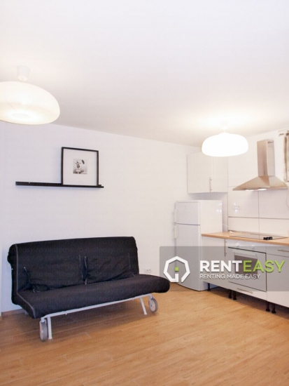 Apartament cu 1 Camera de Inchiriat in Cenru - Spiridon