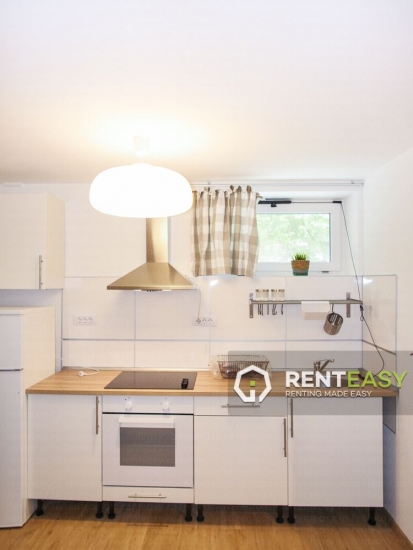 Apartament cu 1 Camera de Inchiriat in Cenru - Spiridon