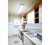 Apartament decomandat cu 3 camere de inchiriat pe Independentei - UMF
