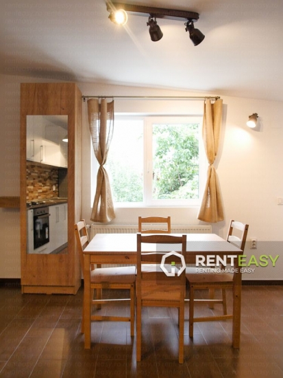 Apartament cu 2 dormitoare si living de inchiriat in zona Copou