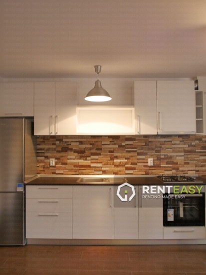 Apartament cu 2 dormitoare si living de inchiriat in zona Copou