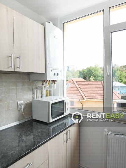 Apartament cu 1 Camera de Inchiriat in Podul de Fier