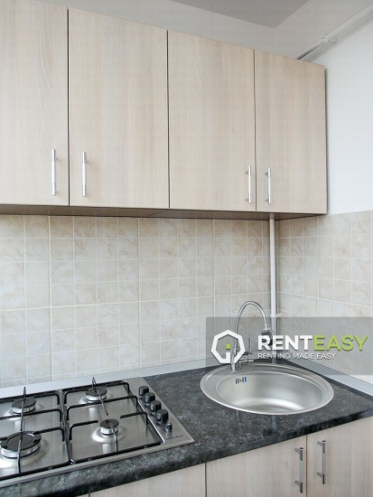 Apartament cu 1 Camera de Inchiriat in Podul de Fier