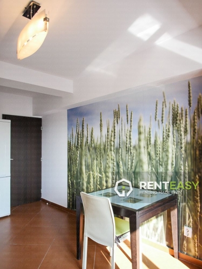 Apartament cu 2 Camere de Inchiriat in Bloc nou - Podul de Fier