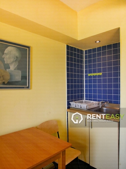 Apartament cu 4 Camere de Inchiriat in fata Universitatii de Medicina