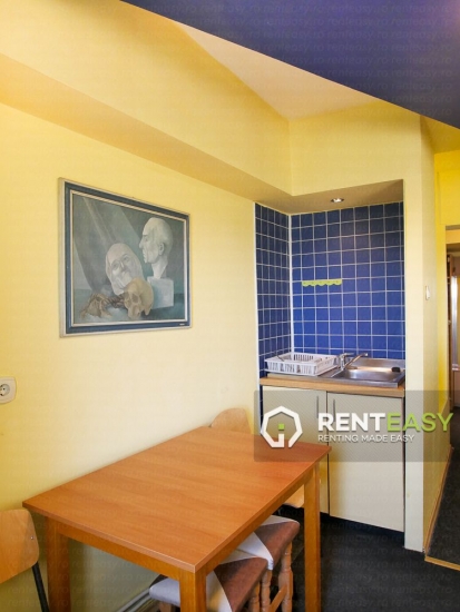 Apartament cu 4 Camere de Inchiriat in fata Universitatii de Medicina