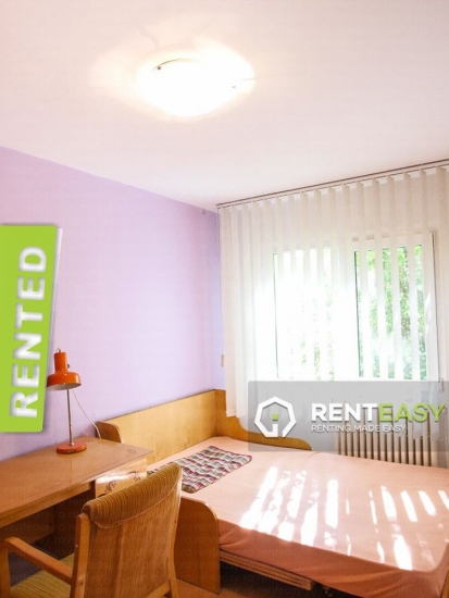 Apartament cu 3 Camere de Inchiriat in Zona Podu Ros