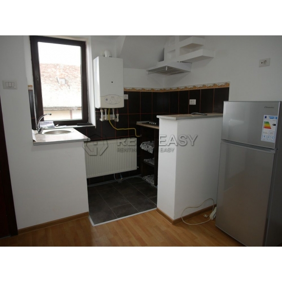 Apartament o camera Copou