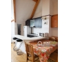 Penthouse cu 3 Camere de Inchiriat in Centru - Rapa Galbena
