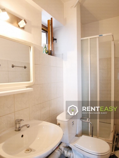 Penthouse cu 3 Camere de Inchiriat in Centru - Rapa Galbena