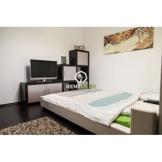 Apartament cu 2 Camere de Inchiriat in Copou - Bellevue