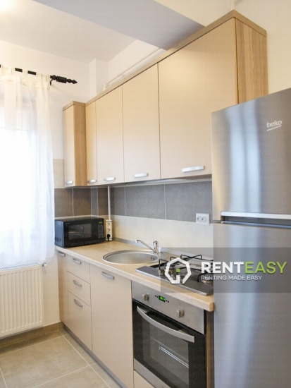 Apartament 2 Camere pentru Inchiriat in zona Palas Mall