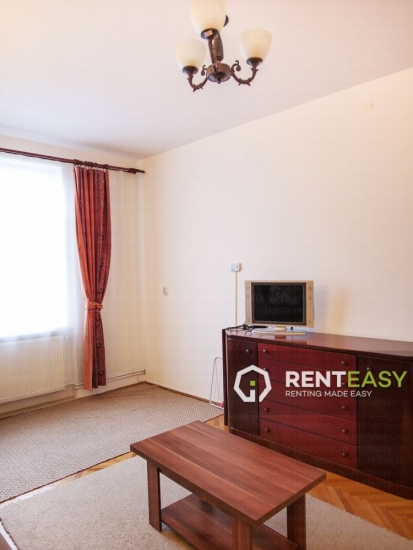 Apartament cu 1 Camera pentru Inchiriat in Centru - Pacurari