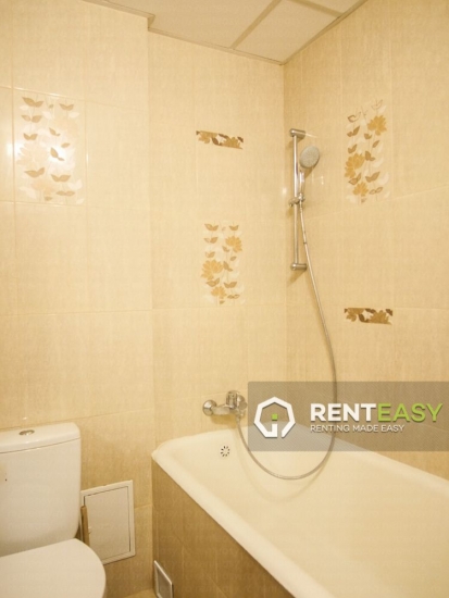 Apartament cu 1 Camera pentru Inchiriat in Centru - Pacurari