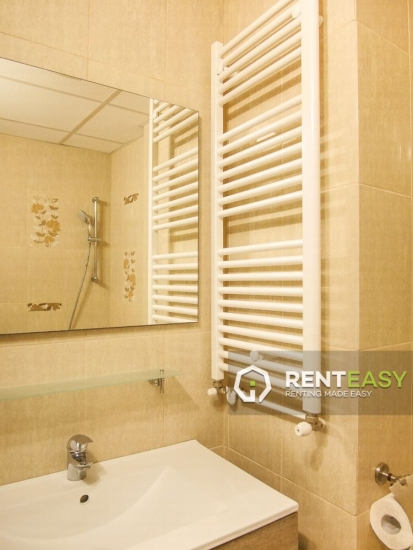 Apartament cu 1 Camera pentru Inchiriat in Centru - Pacurari