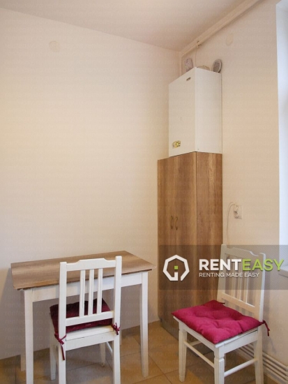 Apartament cu 1 Camera pentru Inchiriat in Centru - Pacurari